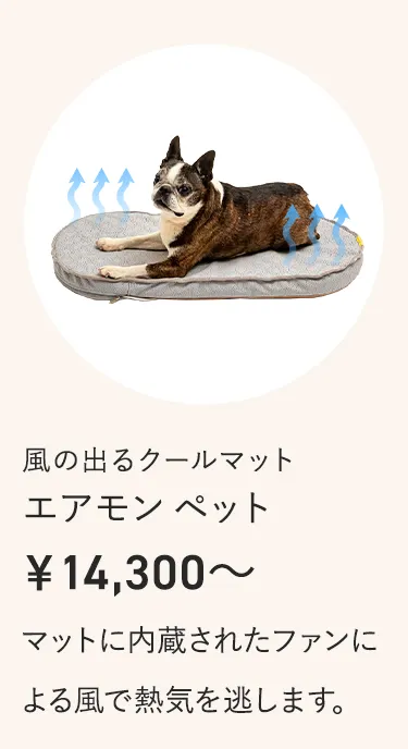 2025暑さ対策アイテム特集