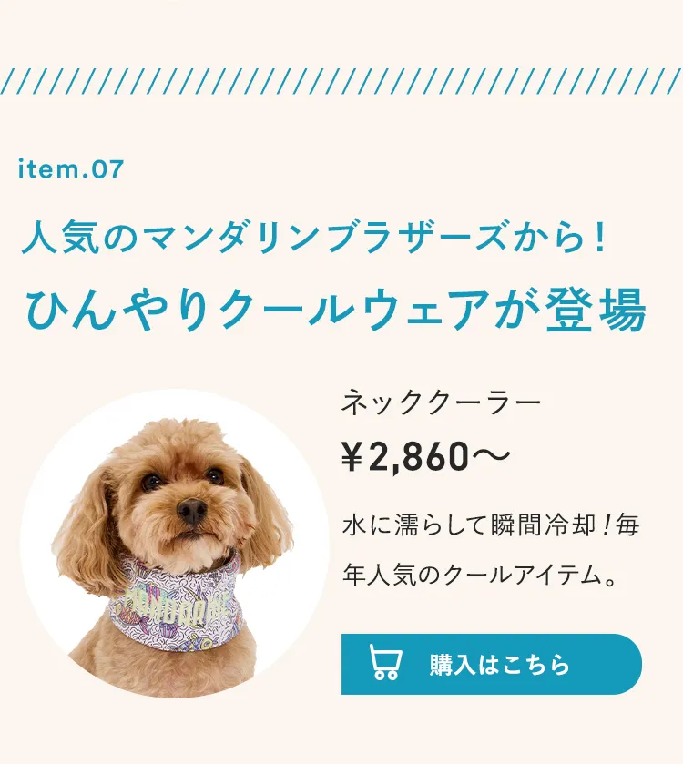 2025暑さ対策アイテム特集