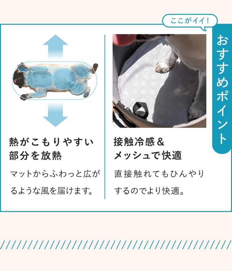 2026暑さ対策アイテム特集