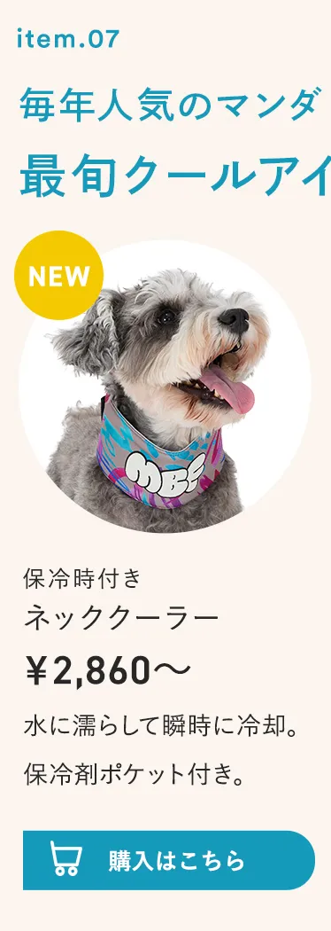 2026暑さ対策アイテム特集