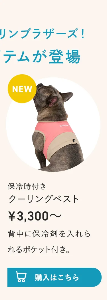 2026暑さ対策アイテム特集