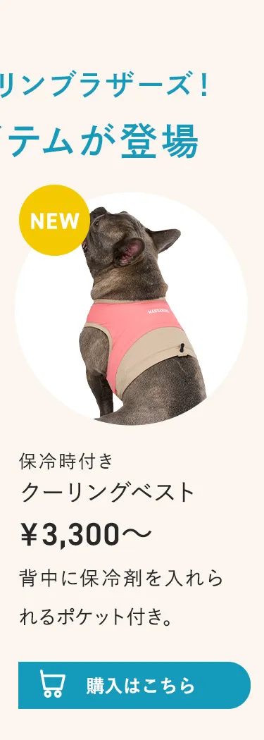 2026暑さ対策アイテム特集