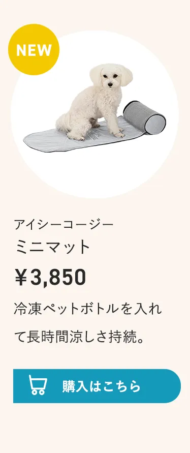 2026暑さ対策アイテム特集