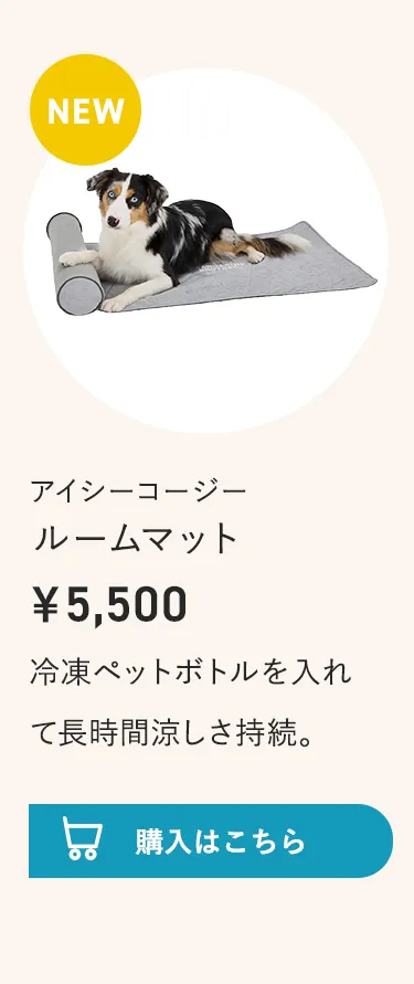 2026暑さ対策アイテム特集