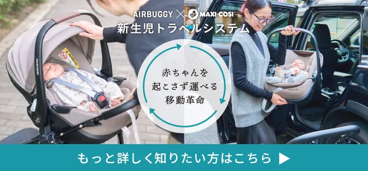 ベビートラベルシステムとは