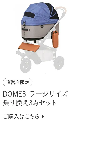 ライフバギー