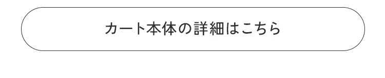 エアバギースタッフおすすめスタイリング