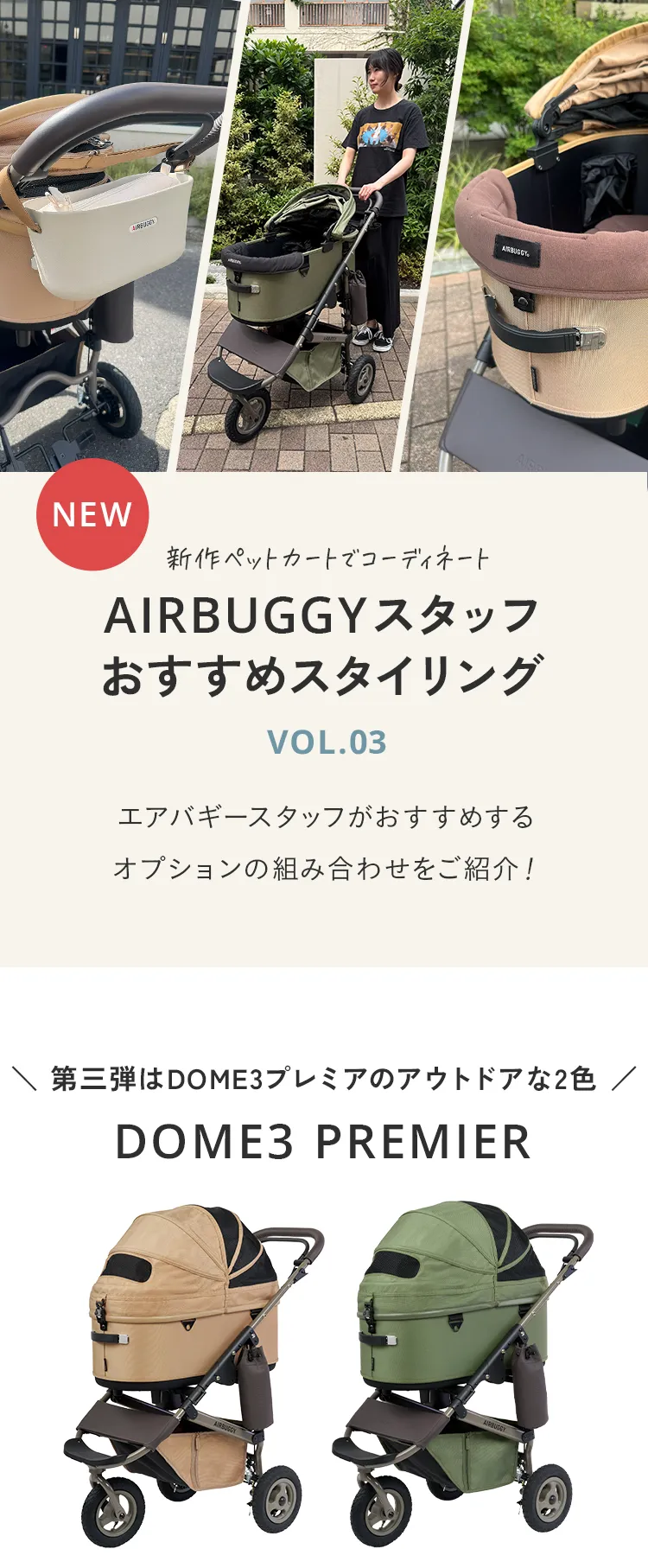 エアバギースタッフおすすめスタイリング