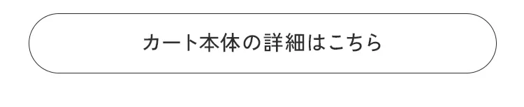 エアバギースタッフおすすめスタイリング