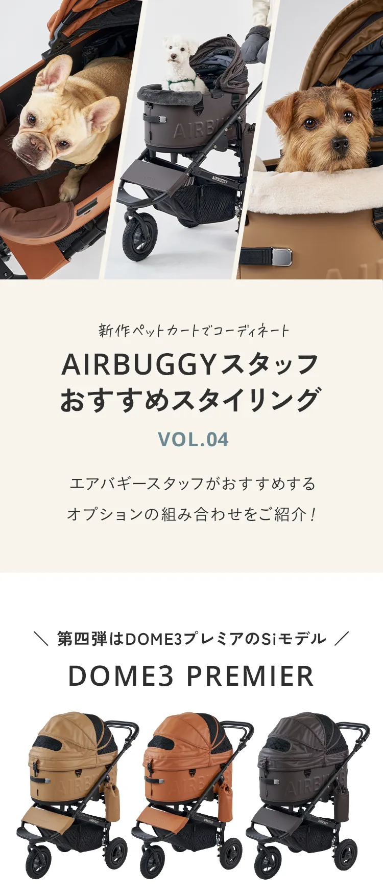 エアバギースタッフおすすめスタイリング