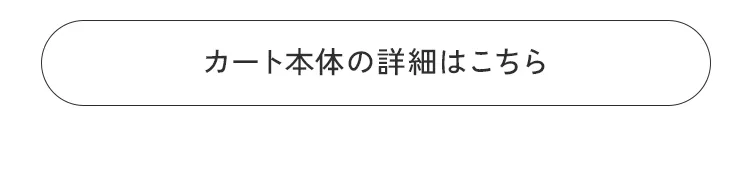 エアバギースタッフおすすめスタイリング