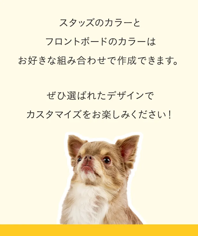 エアバギー スタッズ投票