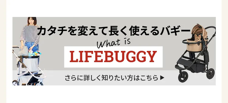 人気のチャイルドシート特集