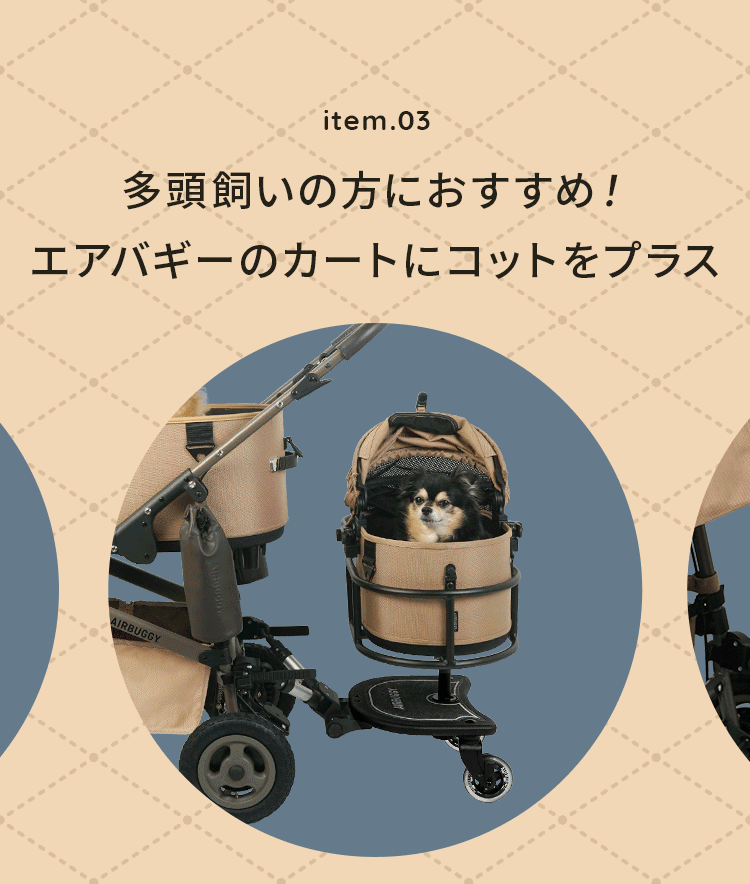2025-26秋冬ペット新商品特集