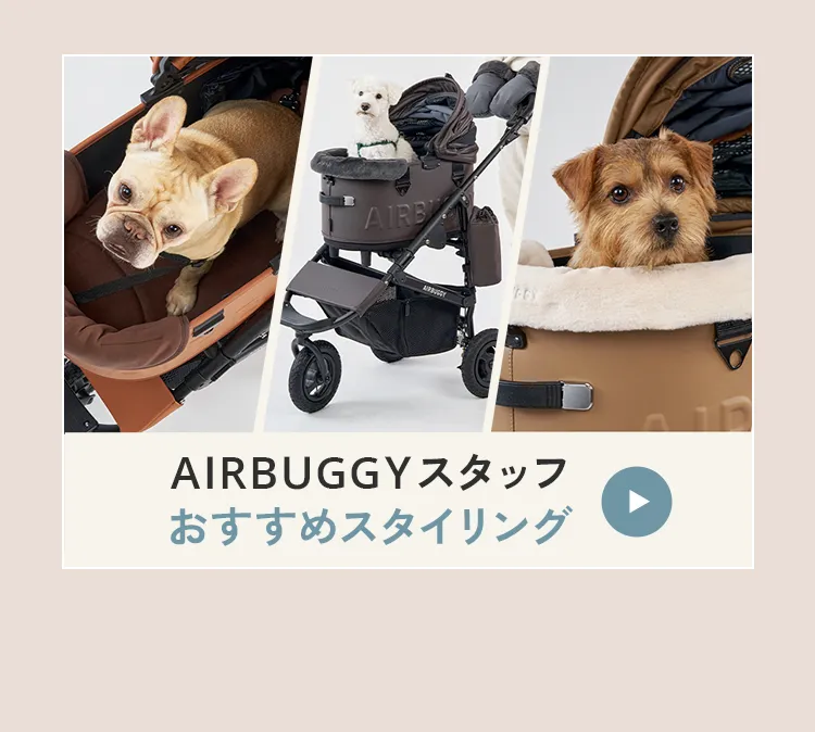 エアバギー2026-27 autumn&winter 秋冬新発売