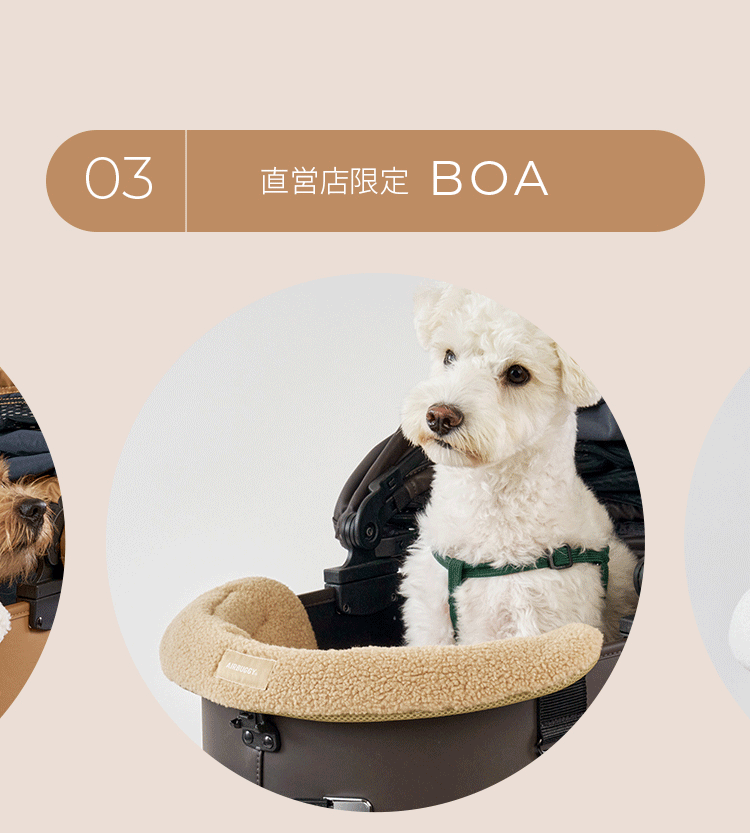 エアバギー2026-27 autumn&winter 秋冬新発売