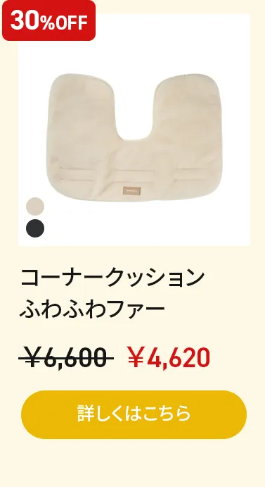 アーリーオータムセールアーリーオータムセール