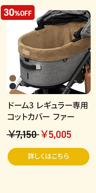 アーリーオータムセールアーリーオータムセール