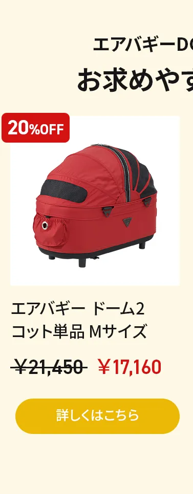 アーリーオータムセールアーリーオータムセール