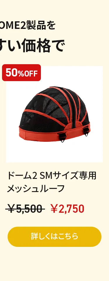 アーリーオータムセールアーリーオータムセール