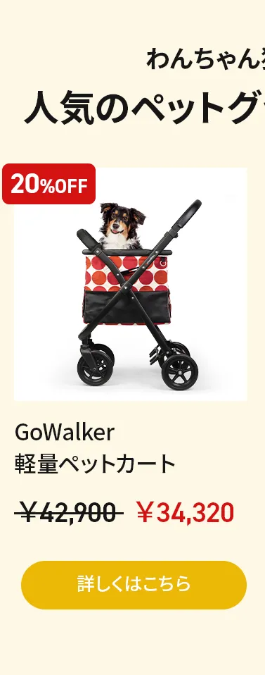 アーリーオータムセールアーリーオータムセール