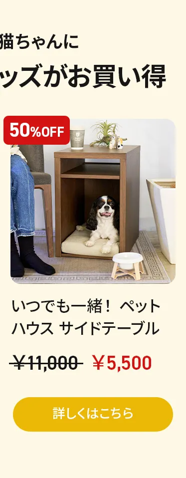 アーリーオータムセールアーリーオータムセール