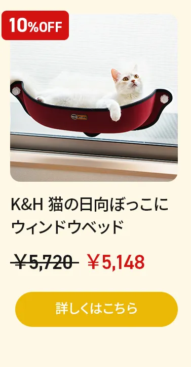 アーリーオータムセールアーリーオータムセール