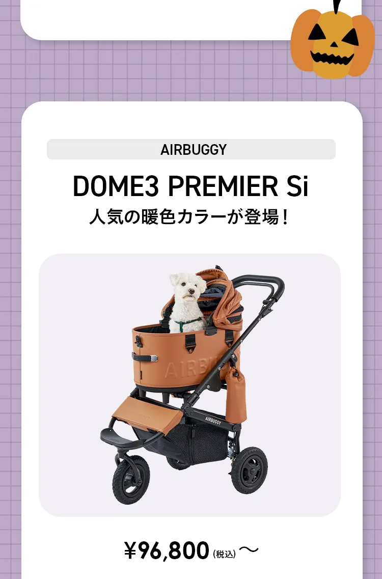 エアバギーハロウィン おばけを探してクーポンGET