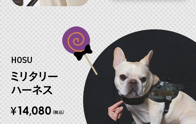 エアバギーハロウィン おばけを探してクーポンGET