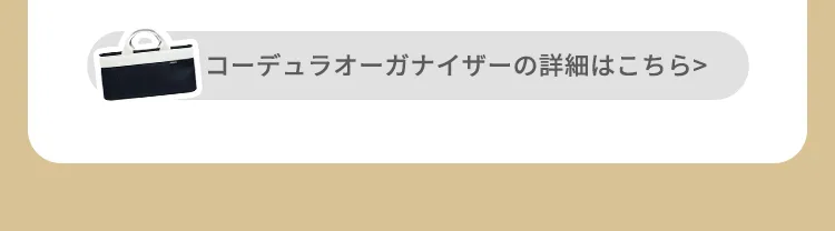 2025年エアバギーオンラインストア限定新年福袋