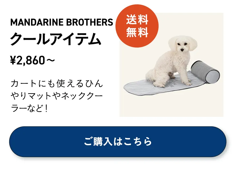 夏のお出かけ帰省準備フェア