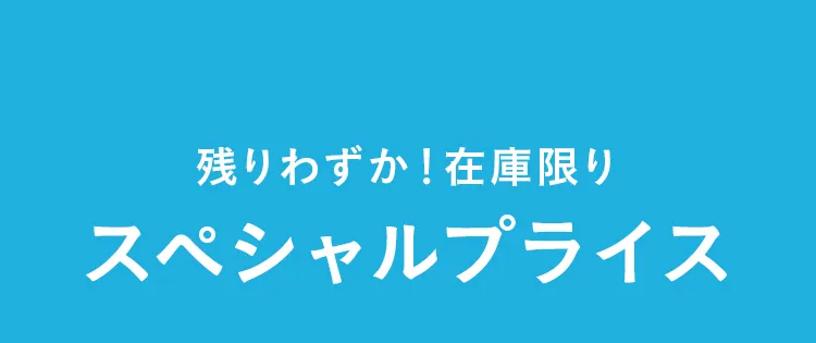 エアバギー サマーセール