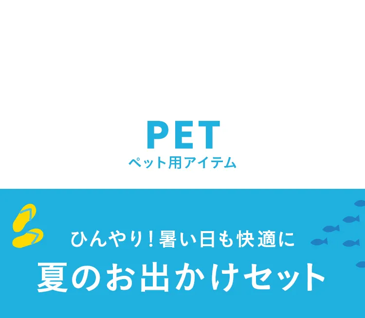 エアバギー サマーセール