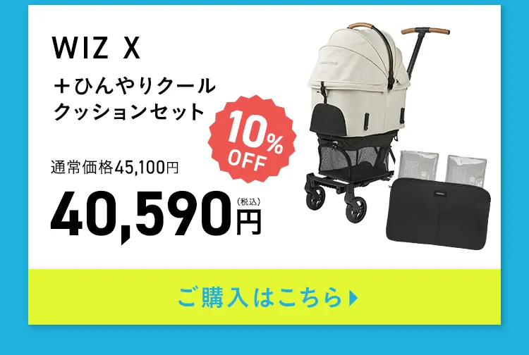 エアバギー サマーセール