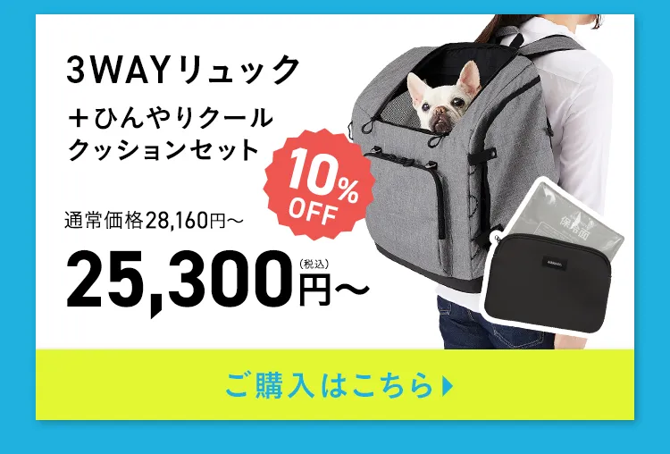 エアバギー サマーセール
