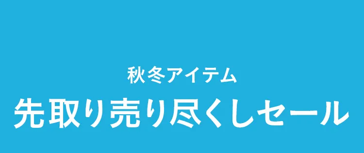 エアバギー サマーセール