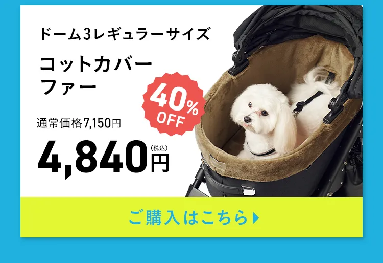 エアバギー サマーセール