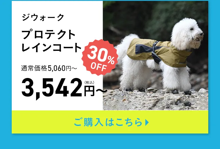 エアバギー サマーセール