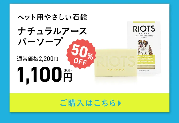 エアバギー サマーセール