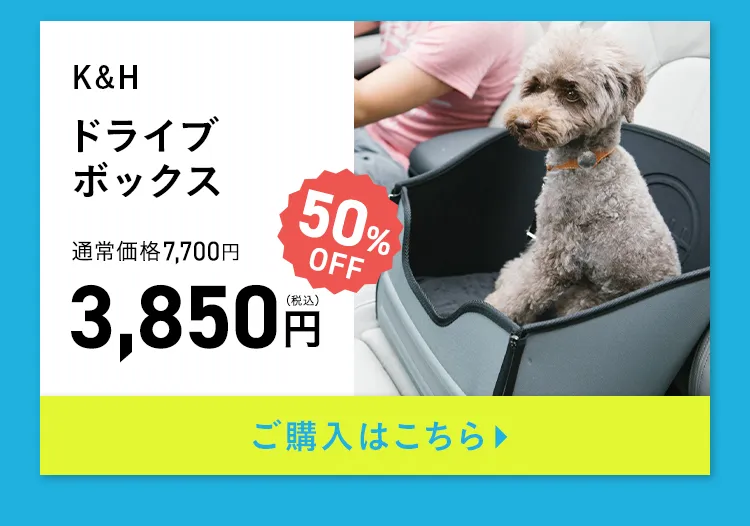 エアバギー サマーセール