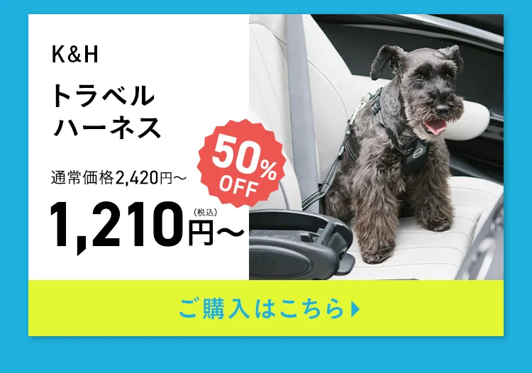 エアバギー サマーセール