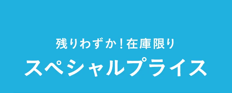 エアバギー サマーセール