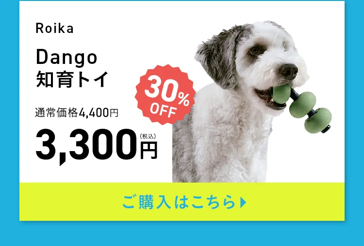 エアバギー サマーセール