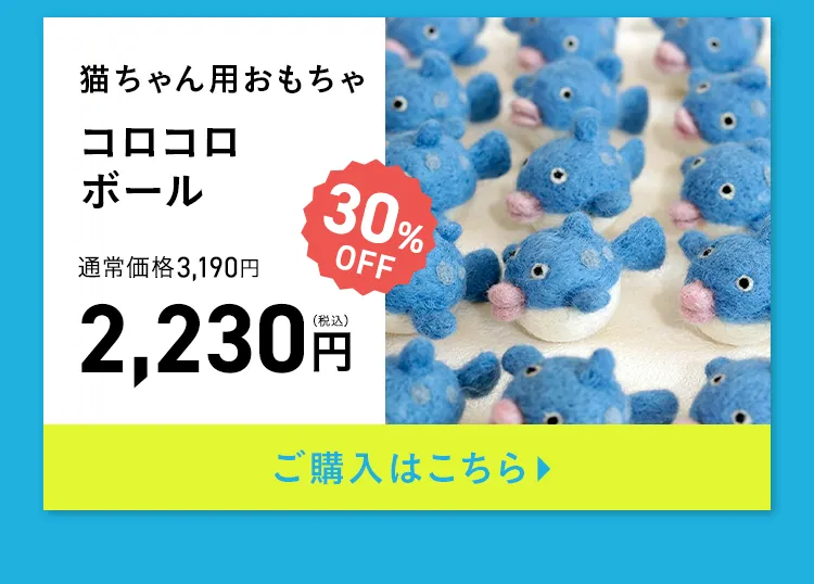 エアバギー サマーセール
