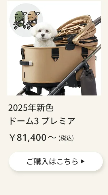 エアバギーワンニャンの日5月