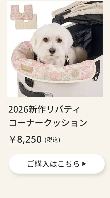 エアバギーワンニャンの日