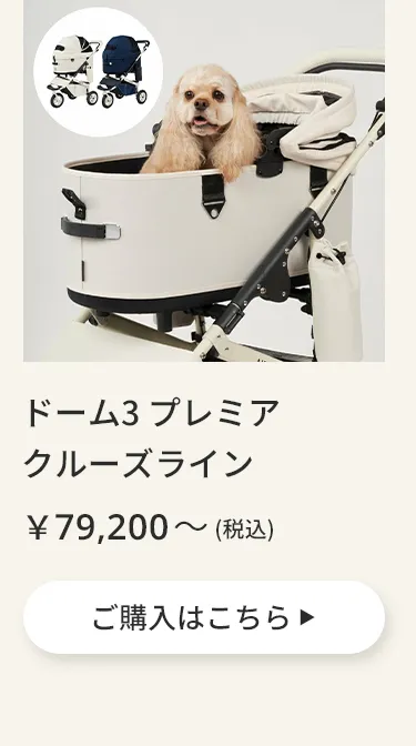 エアバギーワンニャンの日5月