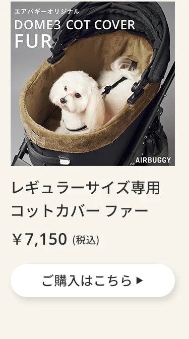 エアバギーワンニャンの日5月