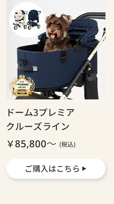 エアバギーワンニャンの日