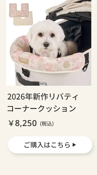 エアバギーワンニャンの日